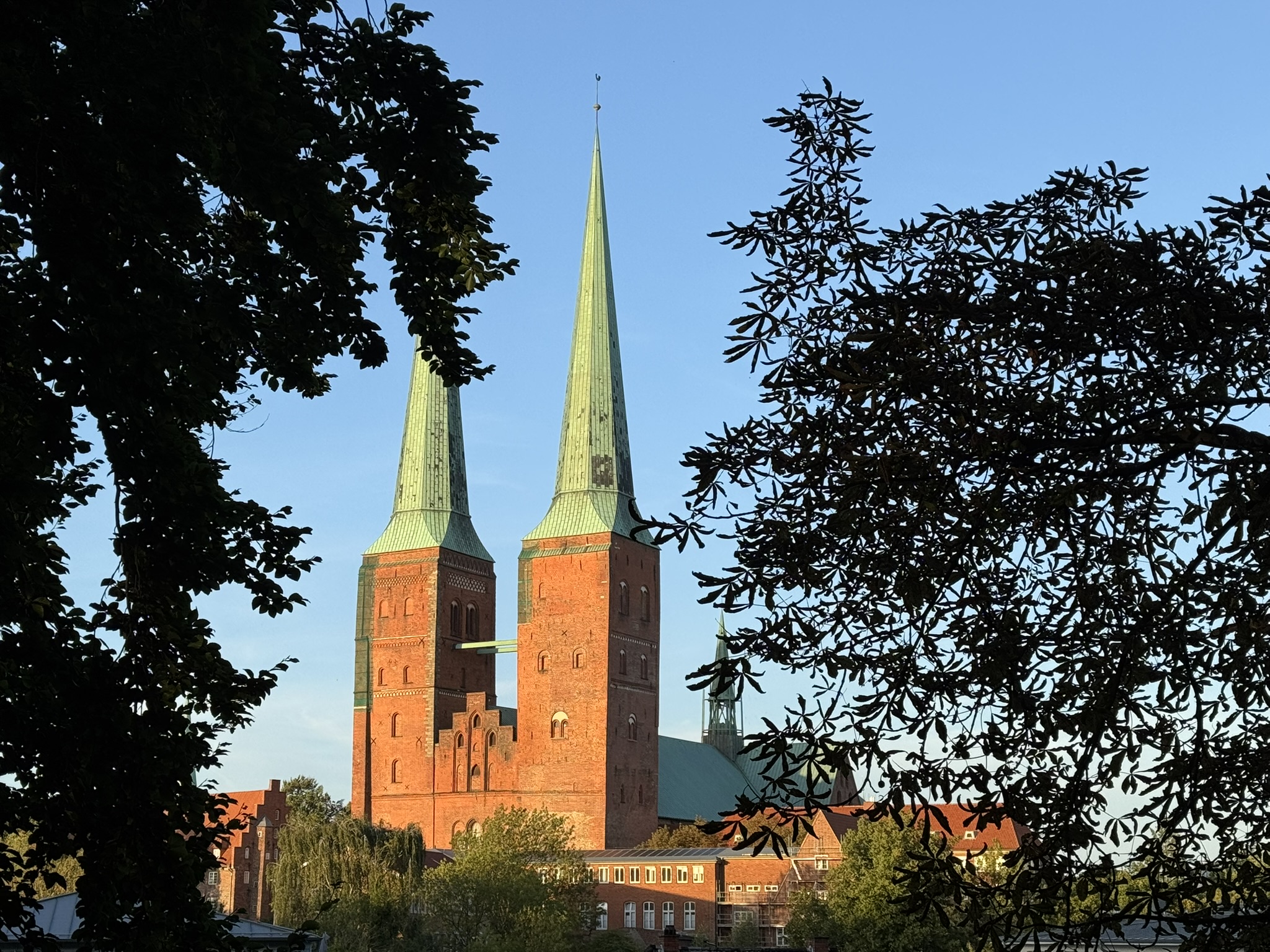 Dieses Bild zeigt eine Backsteinkirche mit zwei Türmen mit Schieferdach. Die Sichtachse wird teilweise durch Baumkronen eingeschränkt